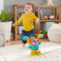 Fisher Price DJ Bouncin' Beats